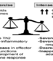 The Evaluation Of Physiopathological And Immunological Exercise Effects ...